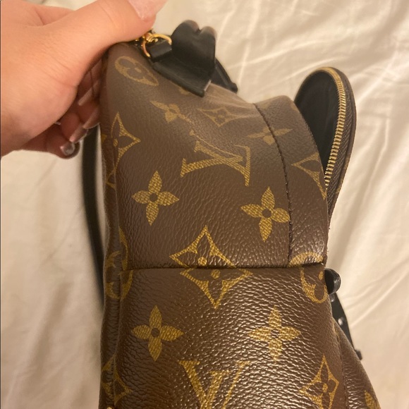 Louis Vuitton Palm Springs Mini Backpack - Picture 3 of 8